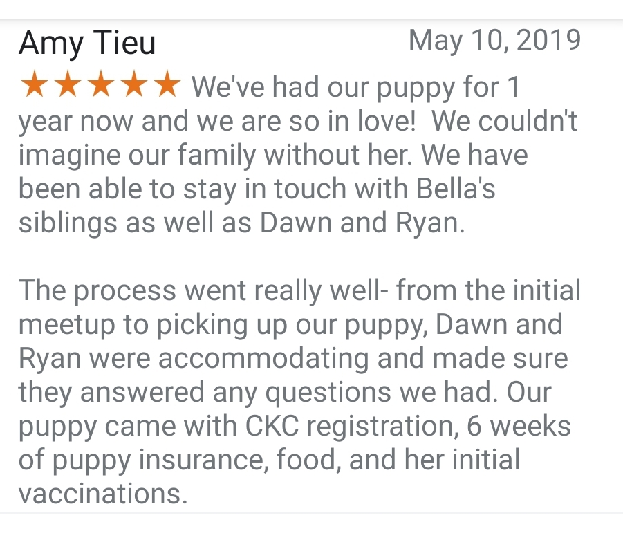 Screenshot_20190517-202550_Google My Business.jpg